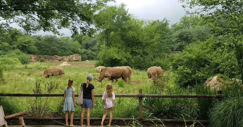 Nashville Zoo