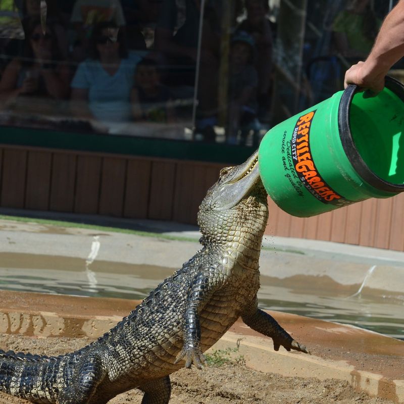 Reptile Gardens (Rapid City)