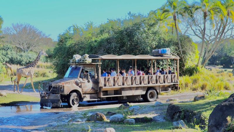 Animal Kingdom’s Kilimanjaro Safaris