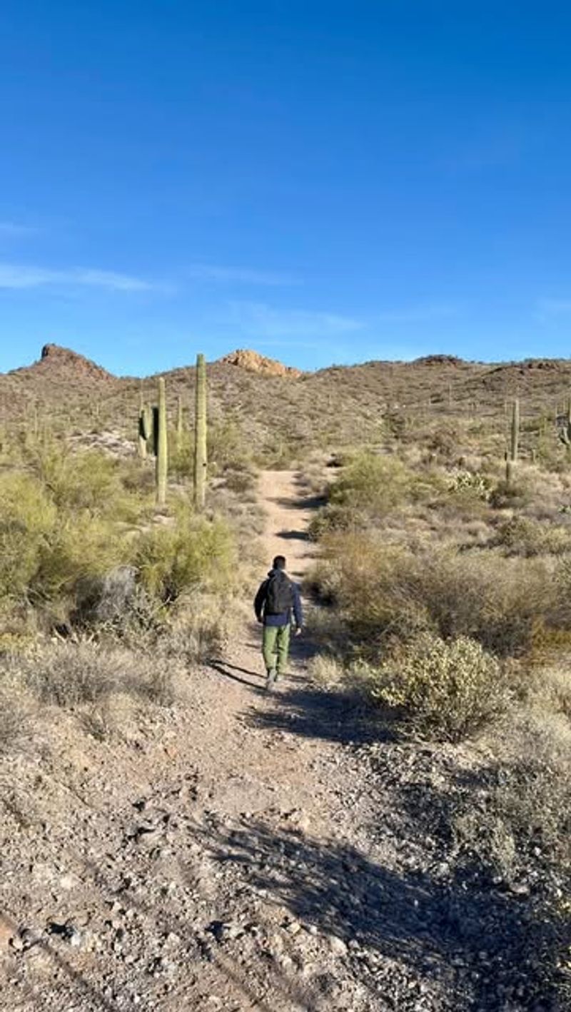 Desert Trail Loop with No Signage and Overgrown Paths