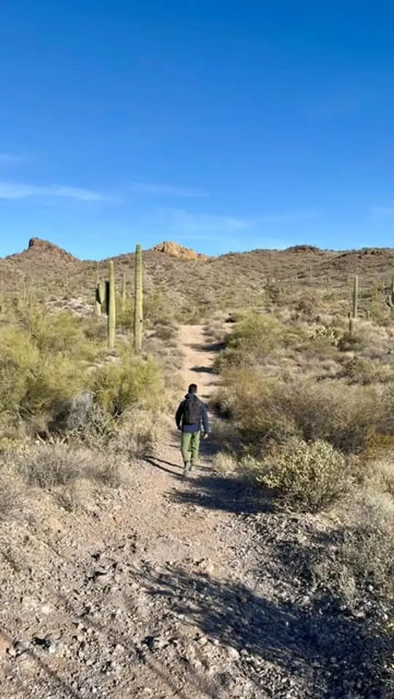 Desert Trail Loop with No Signage and Overgrown Paths