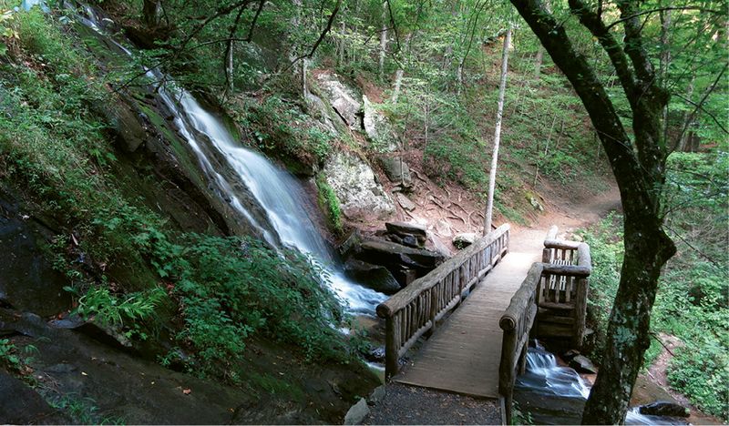 Deep Creek Loop Trail