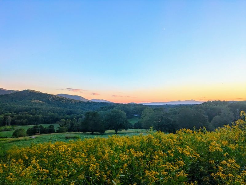 Warren – Mountain Meadows and Native Grasses