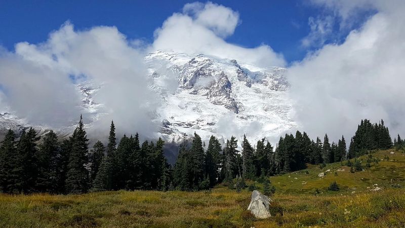 Mount Rainier National Park, Washington