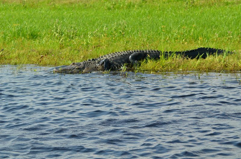 Everglades National Park, Florida