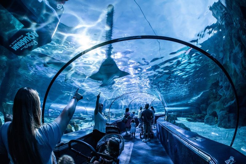 Ripley’s Aquarium (Myrtle Beach)