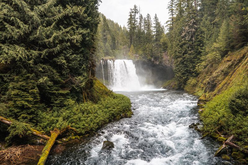 McKenzie River Corridor