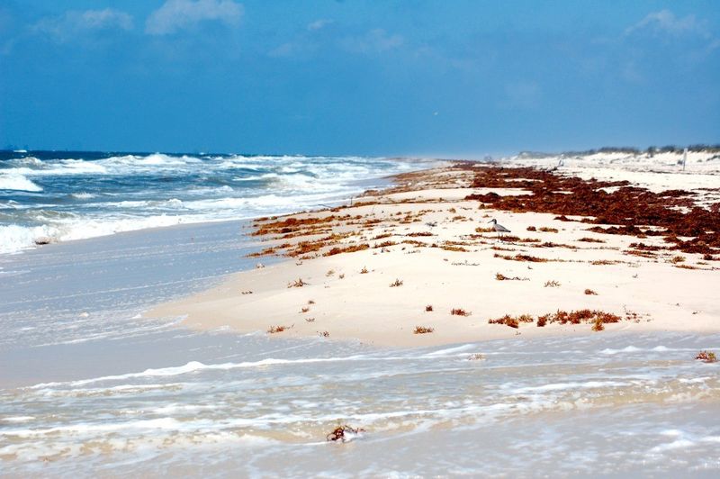 Fort Morgan Beach