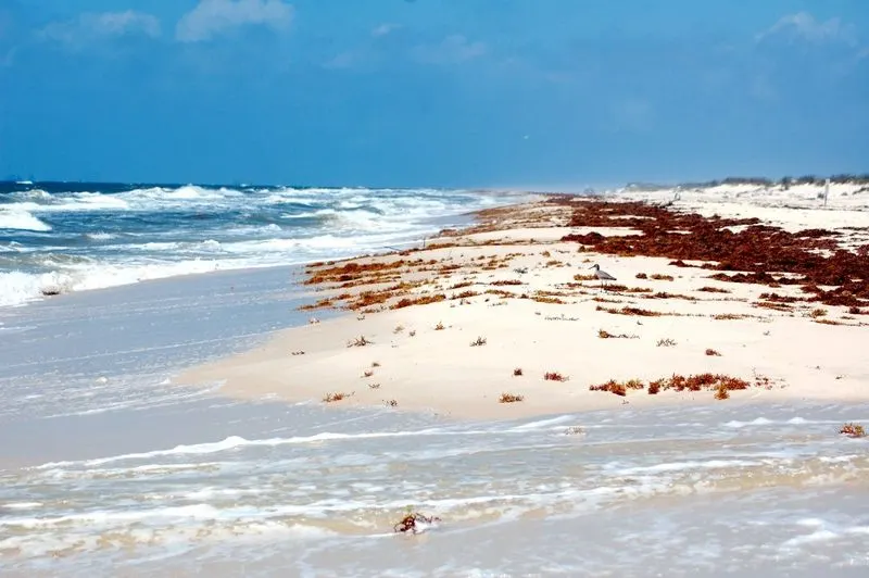 Fort Morgan Beach