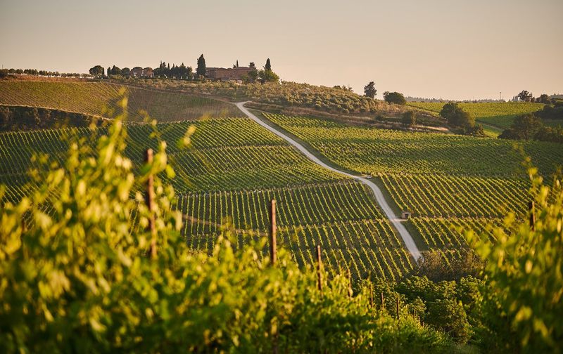 Tuscany Countryside