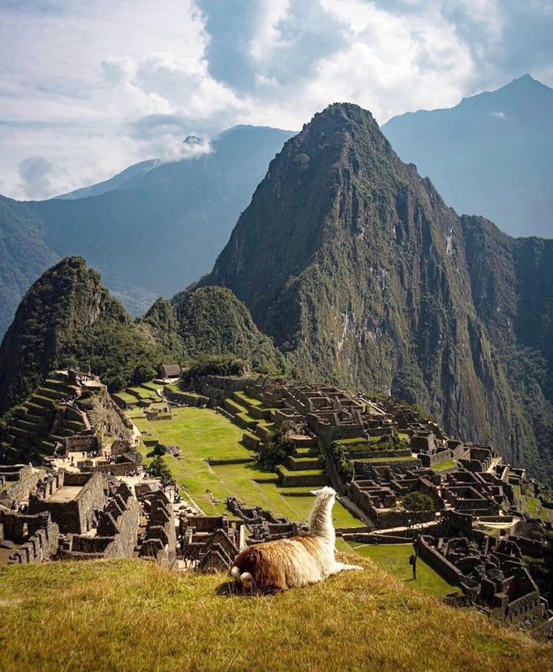 Machu Picchu, Peru