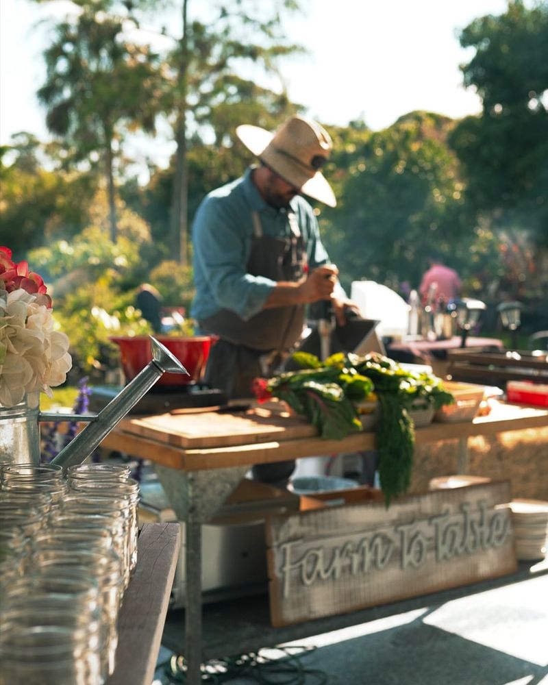 Fig Trees Behind Farm-to-Table Restaurants