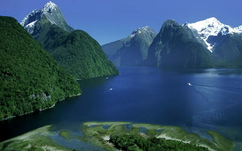 New Zealand: Sanctuary for Unique Island Life