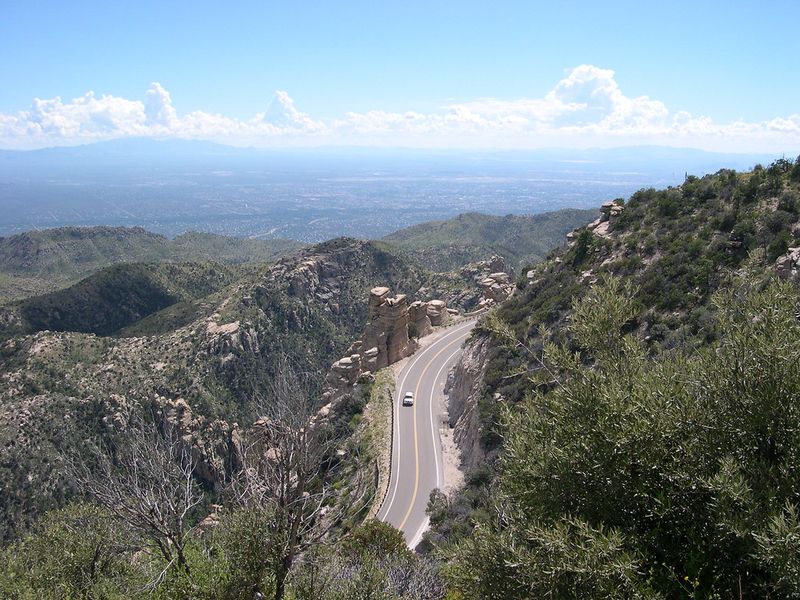 Mount Lemmon (Near Tucson)