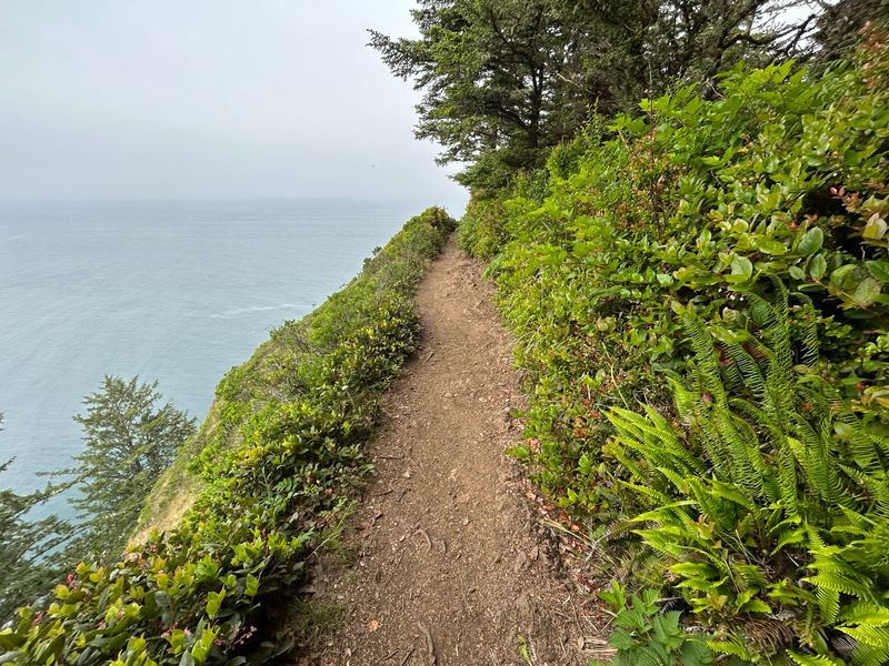 Cape Lookout Trail – Oregon Coast