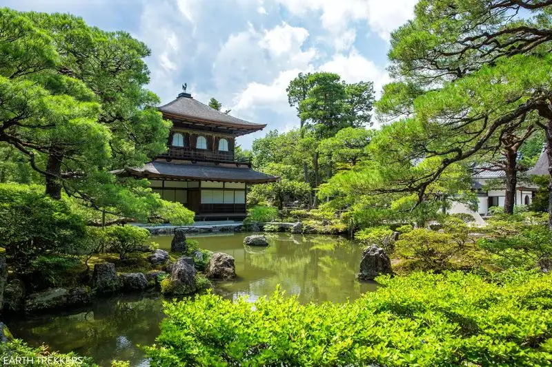 Exploring Kyoto's Temples and Gardens
