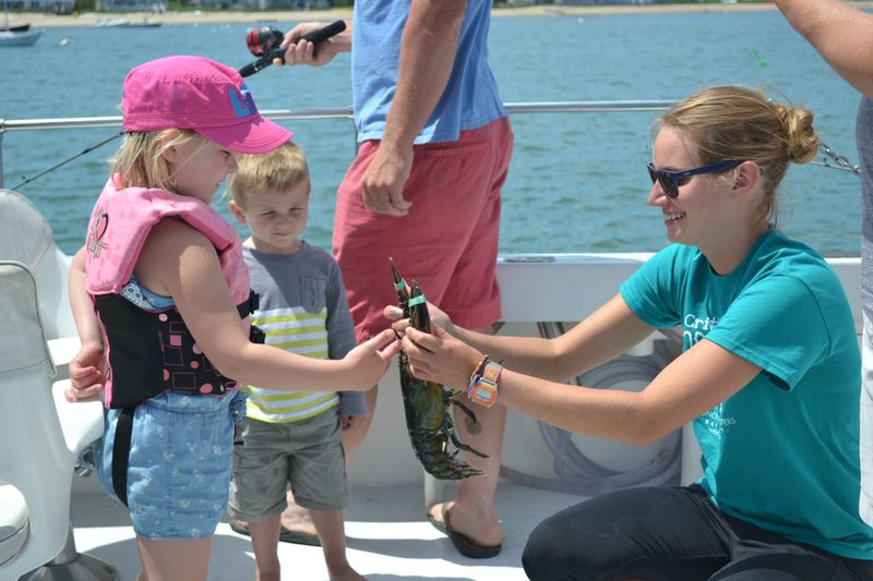Critter Cruise aboard Monomoy