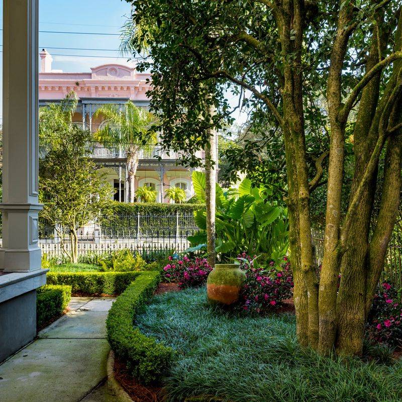 New Orleans, LA – Tropical Foliage in City Gardens and Neutral Grounds