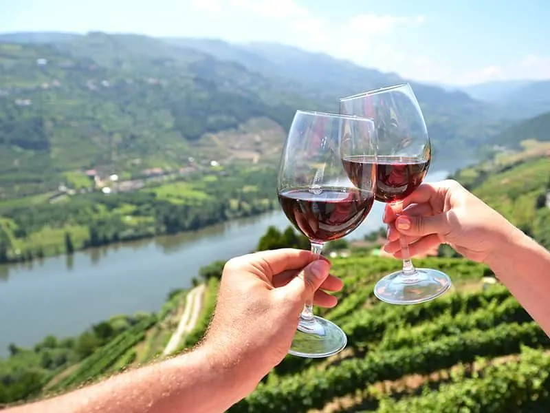 Cruise the Rhône with a wine-and-food pairing tour