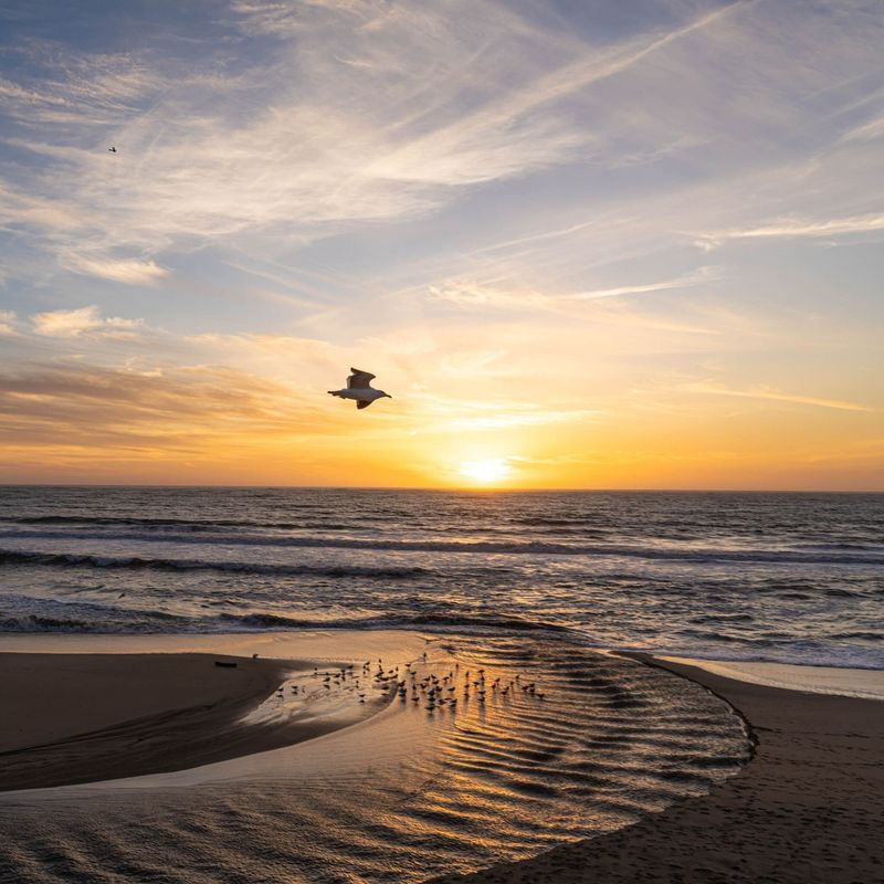Catching Sunset at Poplar Beach