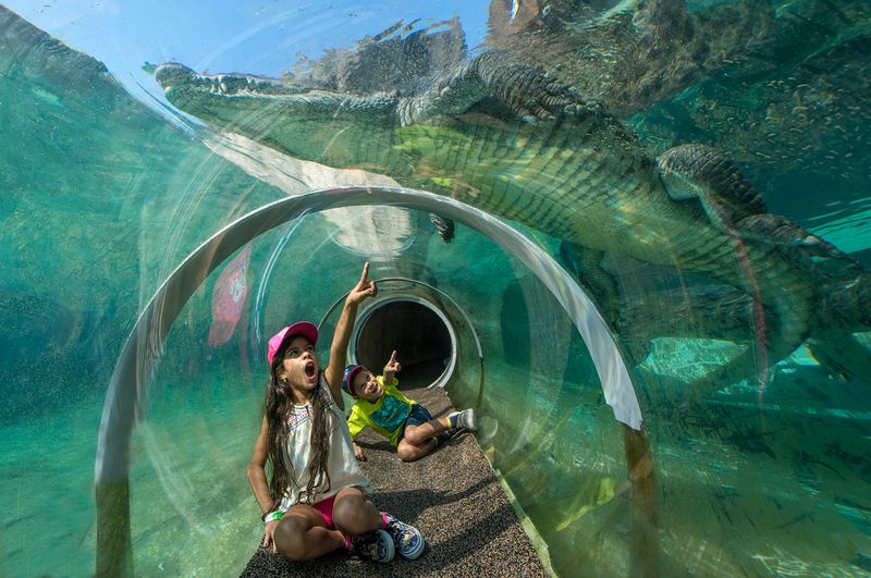 Miami Zoo