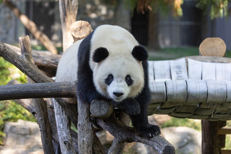 Smithsonian's National Zoo