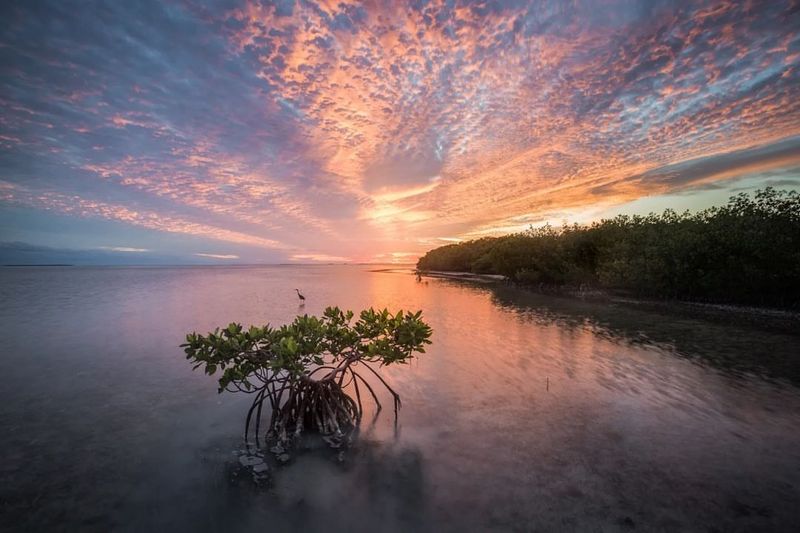 Everglades National Park – Florida