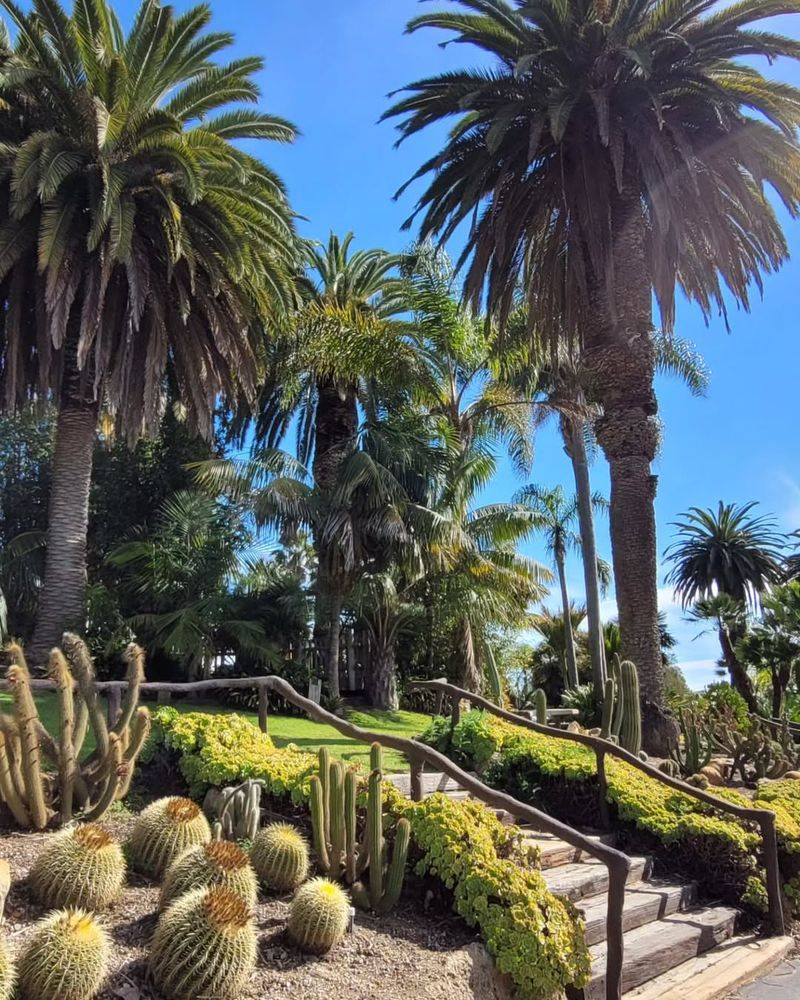 Santa Barbara — Tropical Vibes in a Coastal City