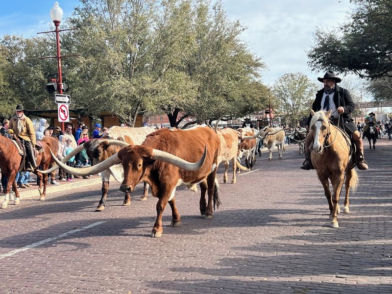 Fort Worth Stockyards