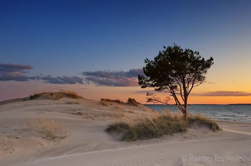 Yyteri Beach, Finland