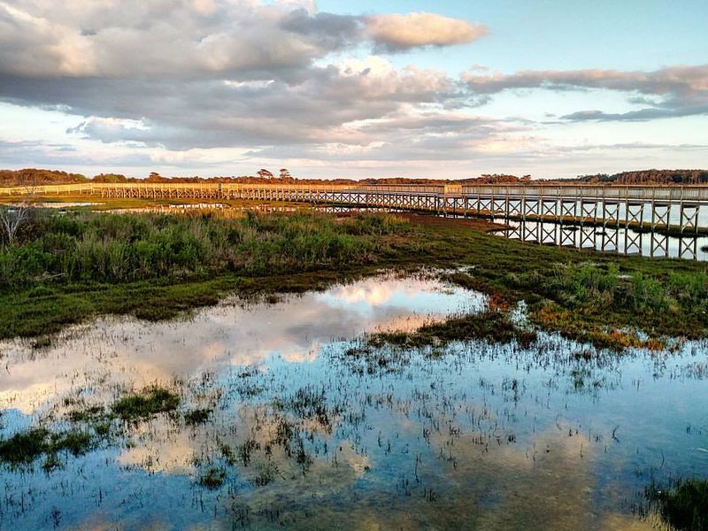 Truitt’s Landing Beach
