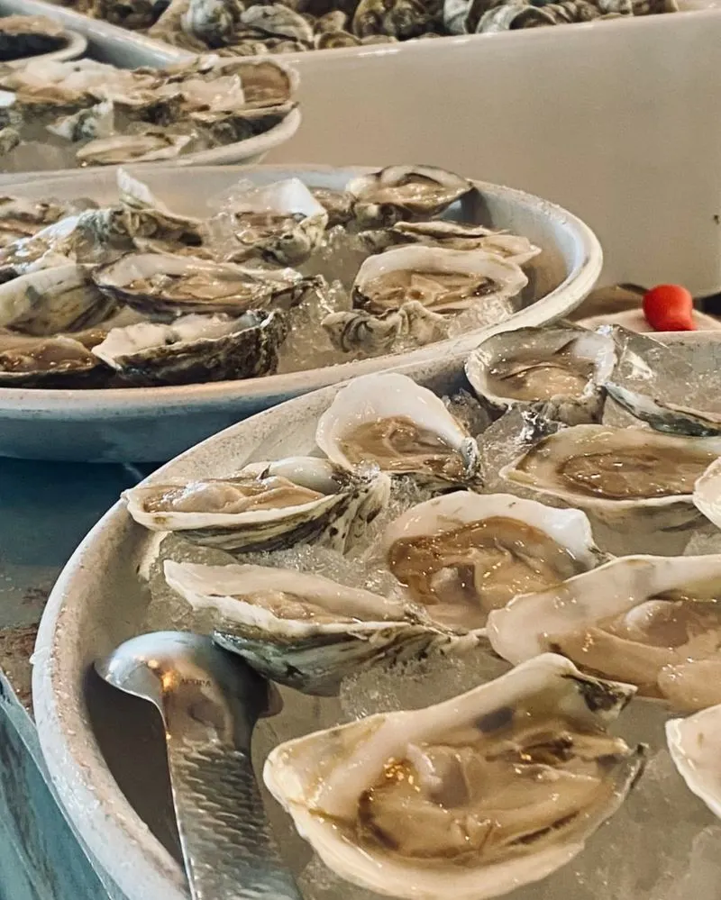 Fresh Oysters from the Delaware Bay