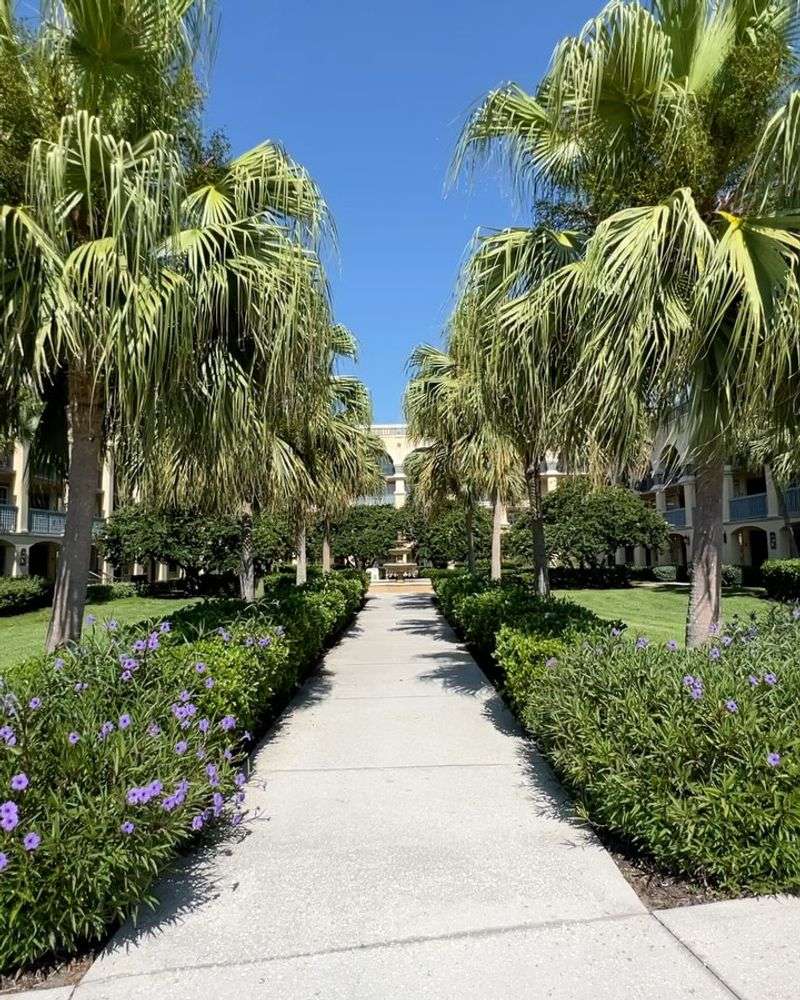 Ornamental Banana Plants Near Walkways