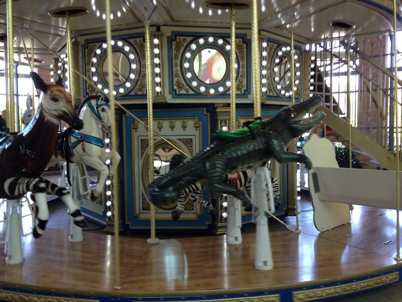 Savannah Mall Carousel