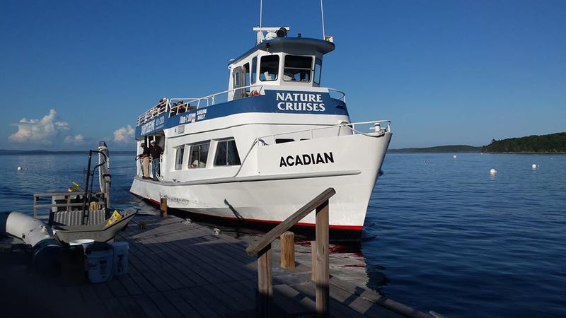 Acadia Wildlife Cruises