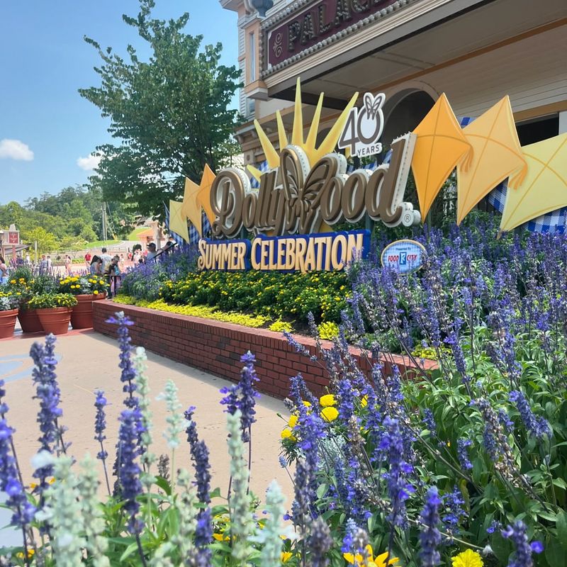 Wildflower Mural Wall