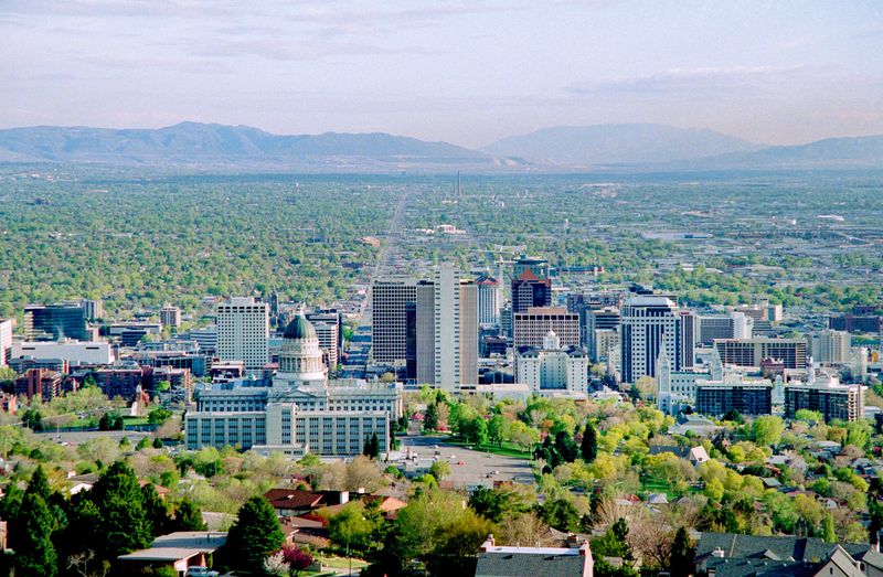 Salt Lake City, UT – Sagebrush and Flowering Native Shrubs in the Foothills