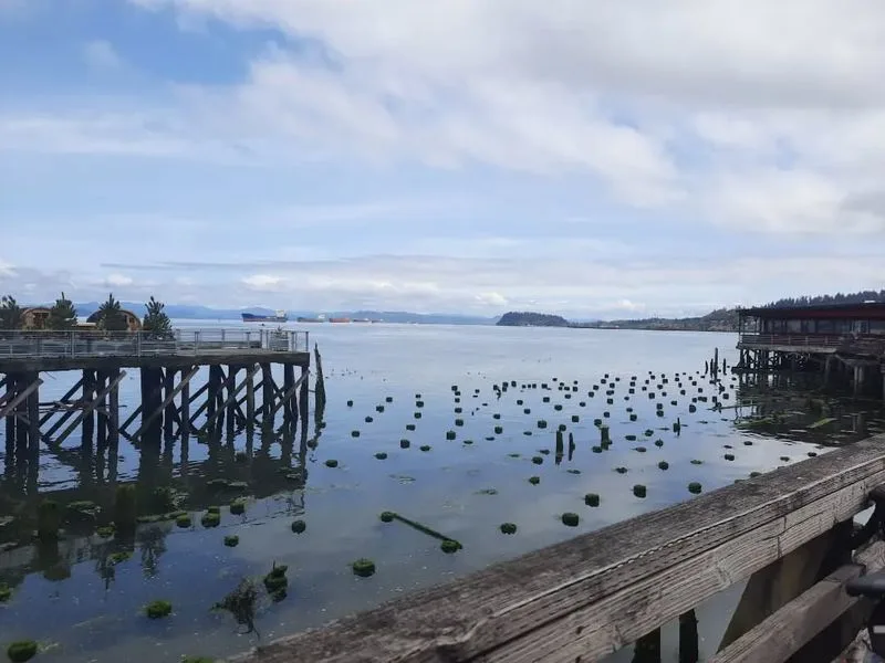 Astoria to Cannon Beach, Oregon
