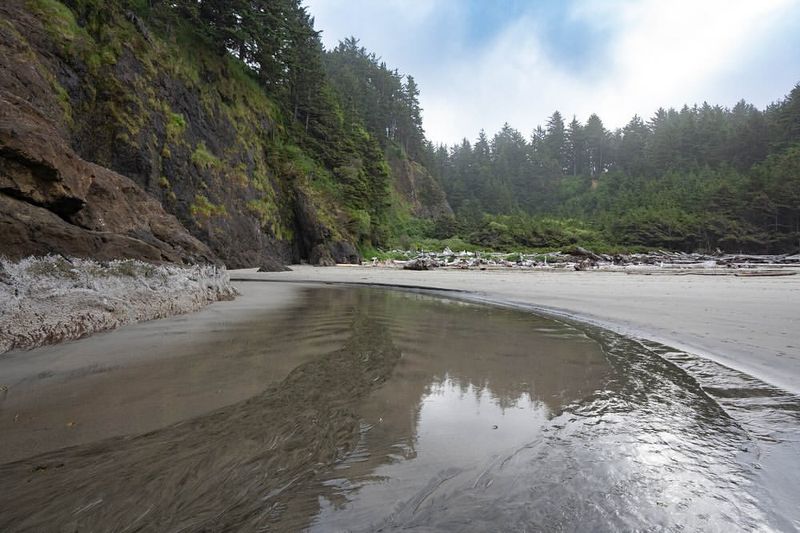 Olympia to Ocean Shores, Washington