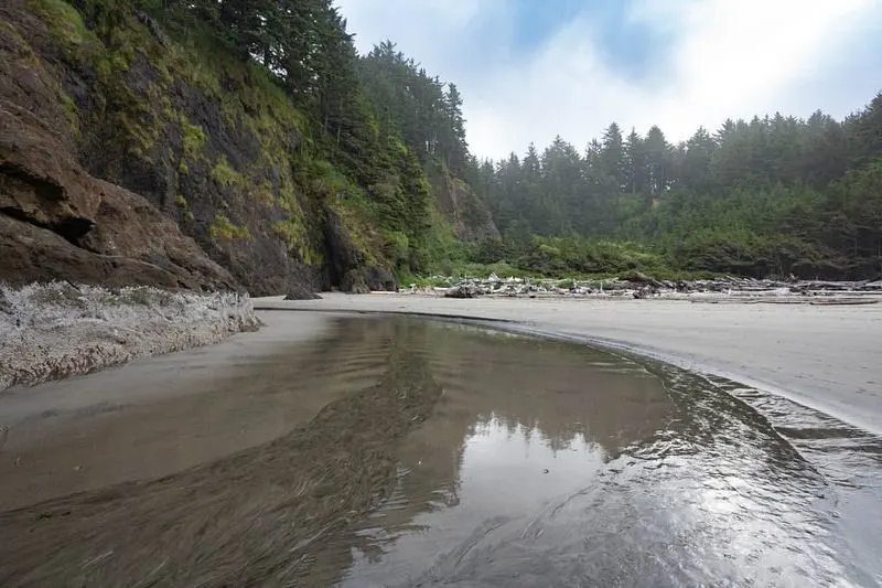 Olympia to Ocean Shores, Washington