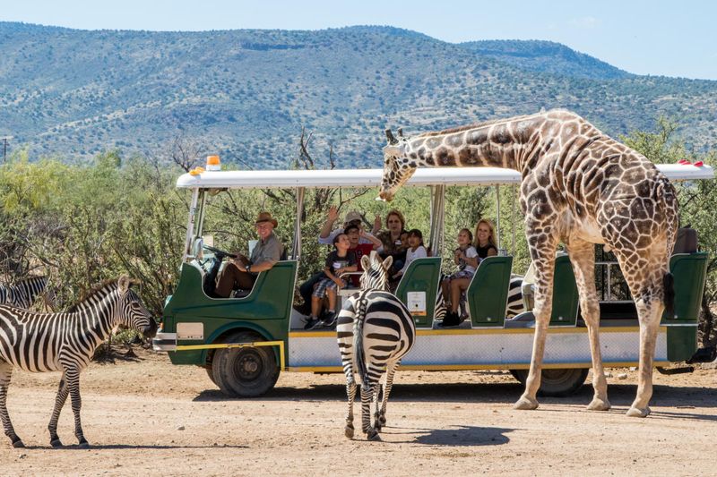 Out of Africa Wildlife Park