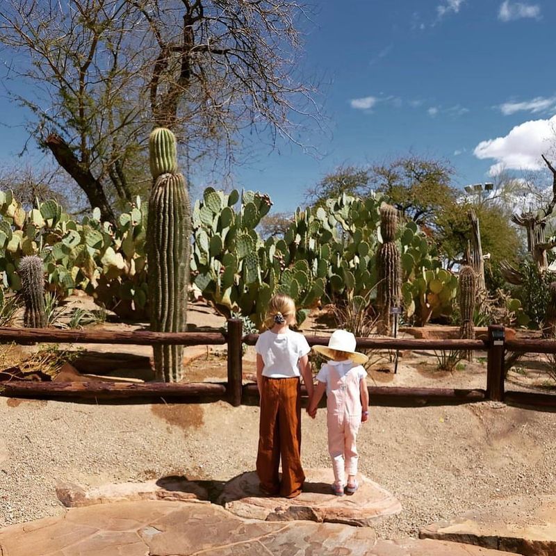 Walk the Cactus Garden at Ethel M Chocolate Factory (Henderson, NV)
