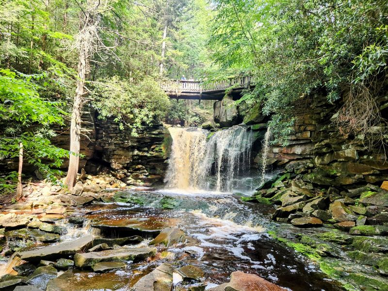 Blackwater Falls State Park