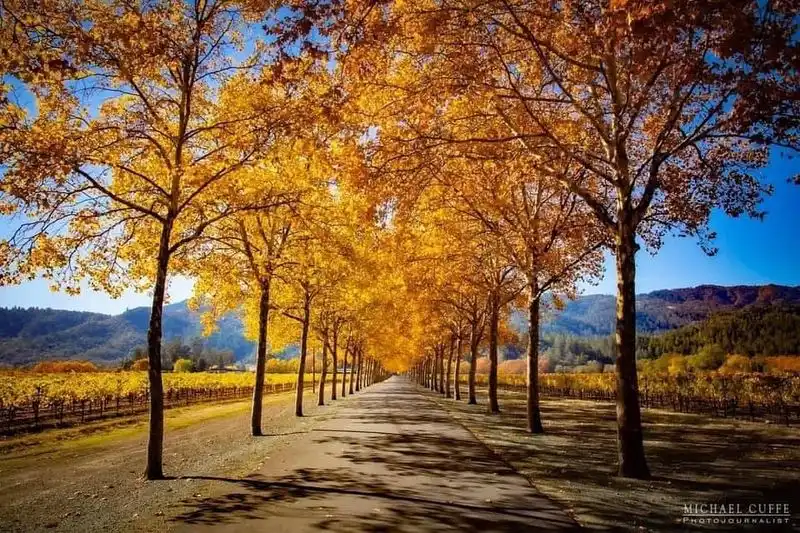 Napa Valley, California