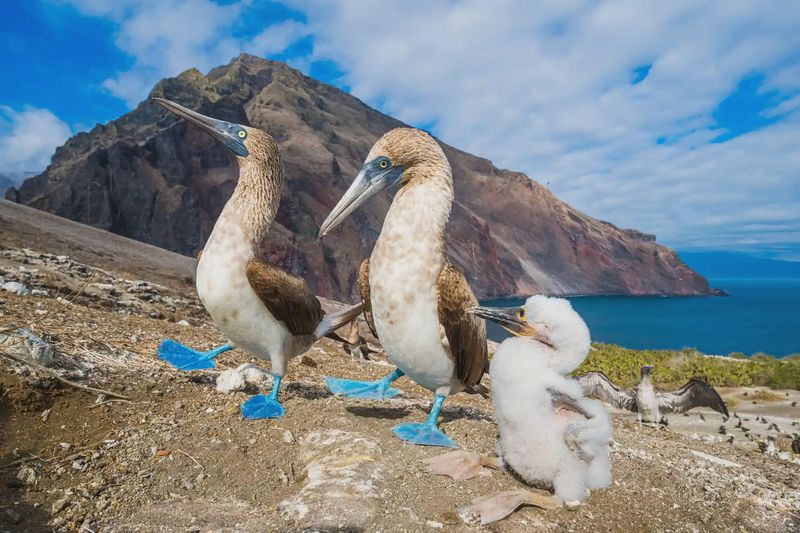 Galápagos Islands, Ecuador