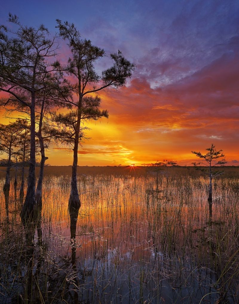 Everglades National Park, Florida