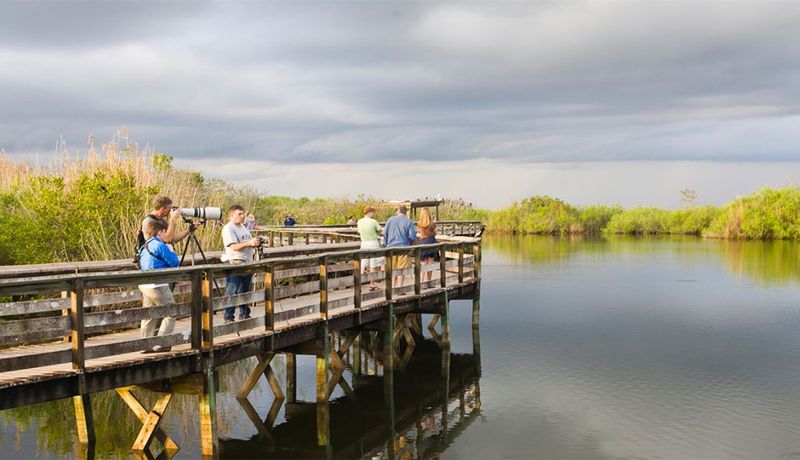Everglades National Park