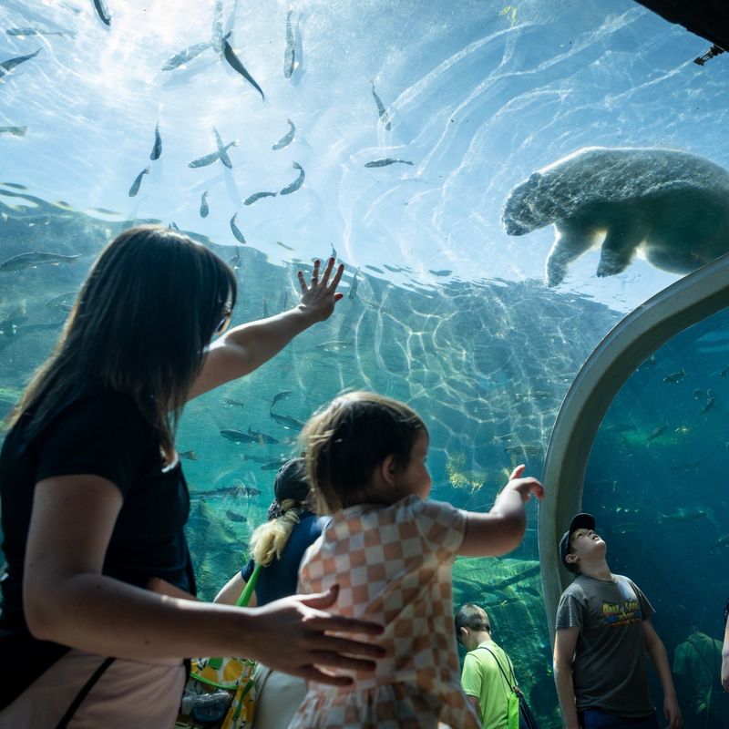Columbus Zoo and Aquarium