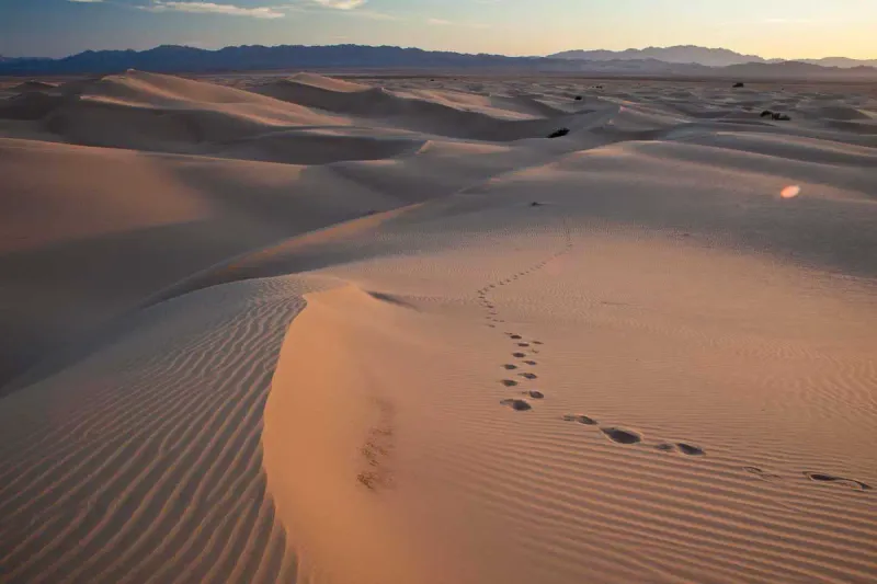 Cadiz Dunes