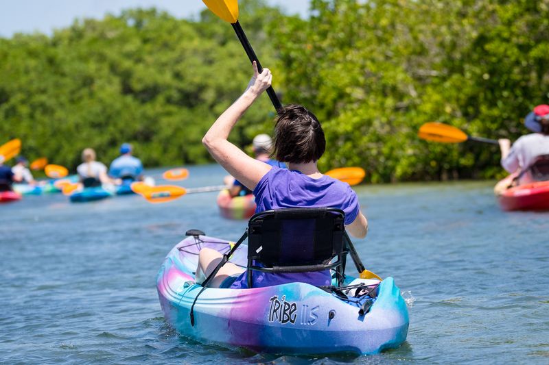 Kayak or Paddleboard Tour Through the Mangroves